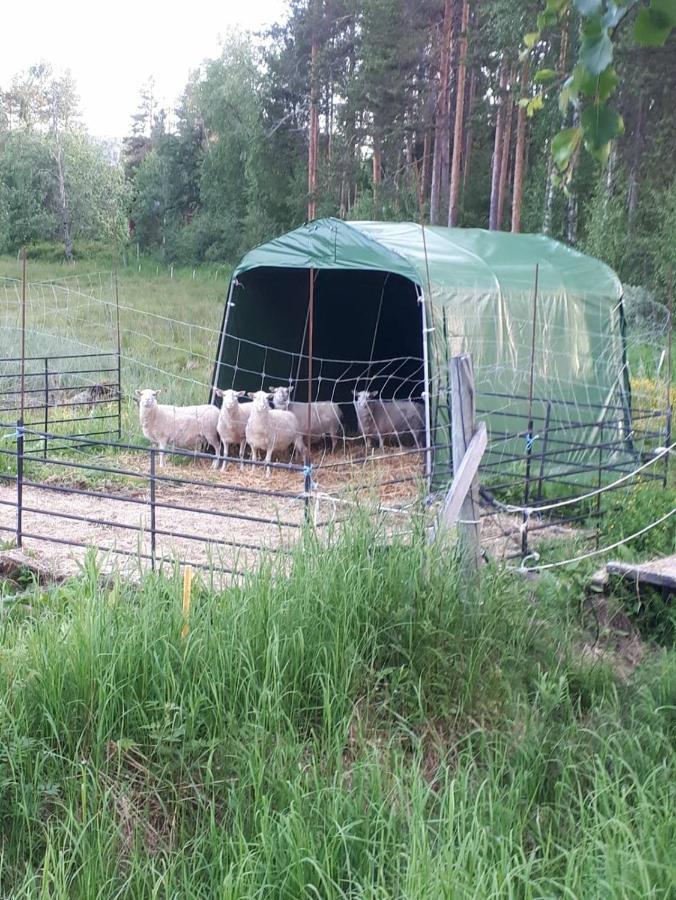 Skabram Bed & Breakfast Йоккмокк Екстер'єр фото